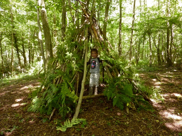 Nếu không chuẩn bị lều bạn có thể dựng tạm chỗ trú ẩn đơn giản bằng cành cây và lá xung quanh
