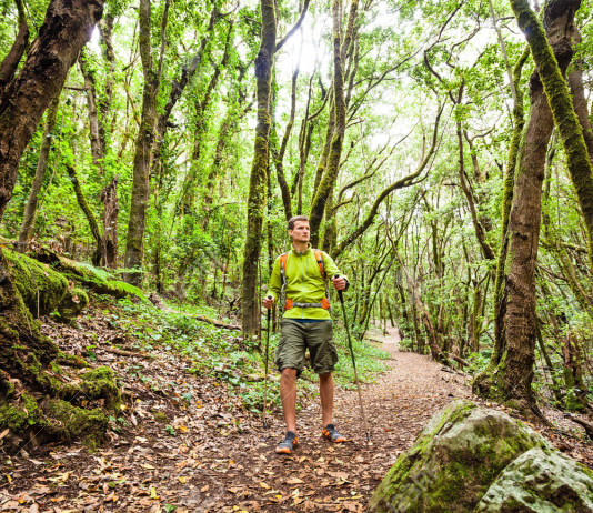 Đi lạc trong rừng, phải làm sao?