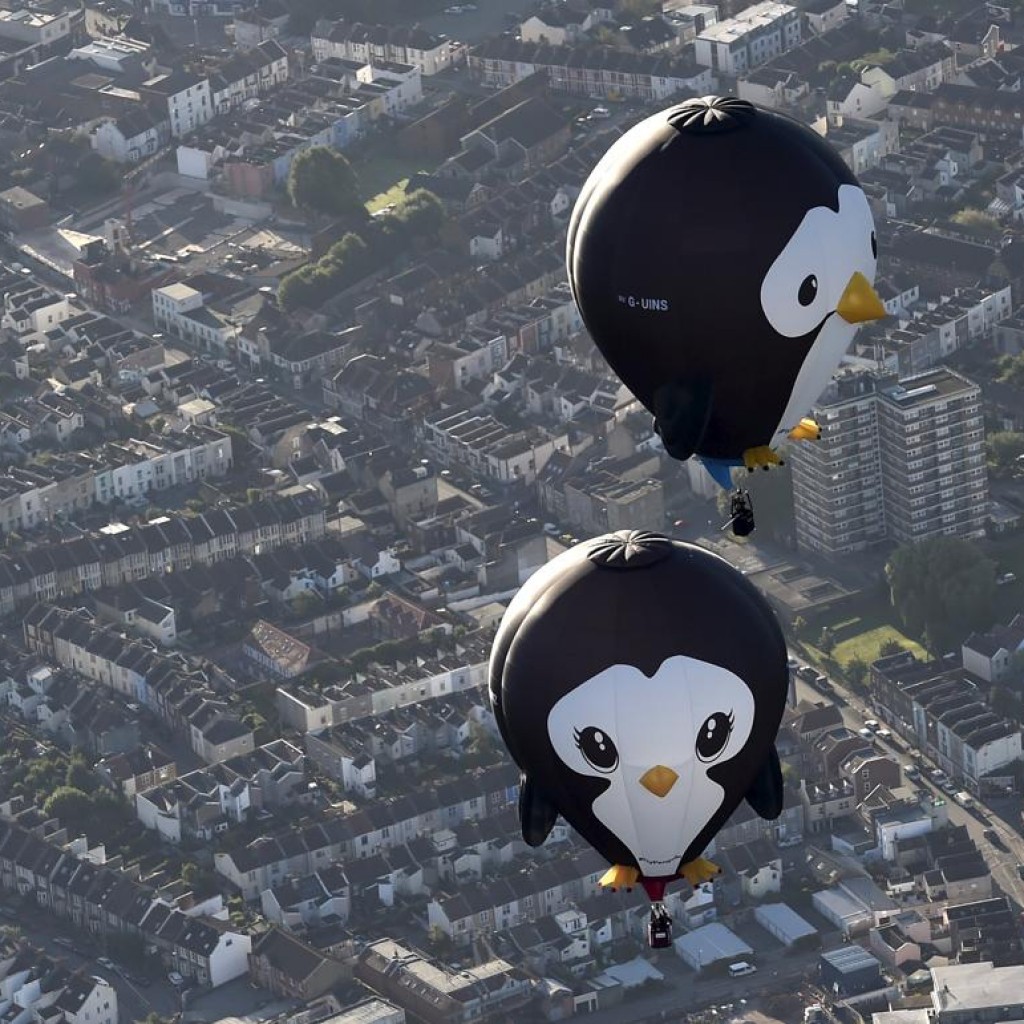 Hai chiếc khinh khí cầu hình chim cánh cụt bay gần nhau tại lễ hội Bristol, Anh, 07/08/2015.