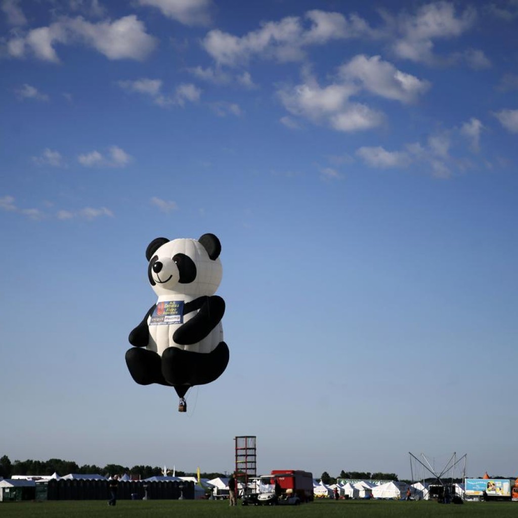 Một chiếc khinh khí cầu hình gấu trúc được thả lên trời tại lễ hội QuickChek New Jersey lần thứ 33 ở sân bay Solberg, Readington, New Jersey, 24/07/2015.