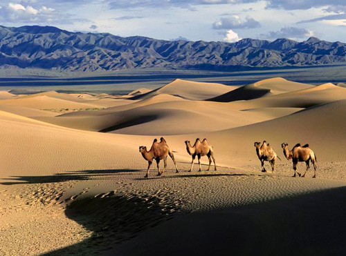 Gobi là sa mạc lớn thứ 5 của thế giới