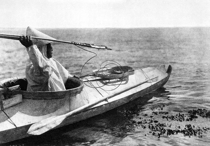 Những chiếc Kayak đầu tiên của người Eskimo