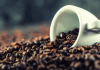 Caffeine là gì? Lợi ích và tác hại của Cafe với sức khoẻ